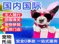 阿荣航空物流国际宠物托运 【国